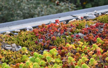 the cost of Bridge Of Allan green roof installation