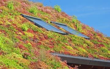 Bridge Of Allan living roof systems