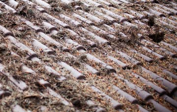 Bridge Of Allan roof cleaning companies