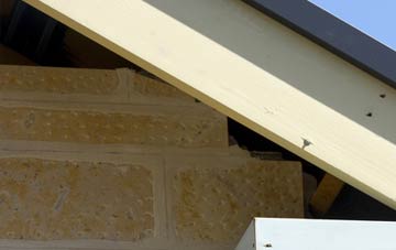 soffit repair Bridge Of Allan
