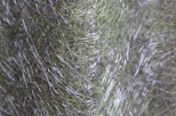 Bridge Of Allan fibreglass roof work