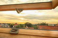 rated Bridge Of Allan roof window companies
